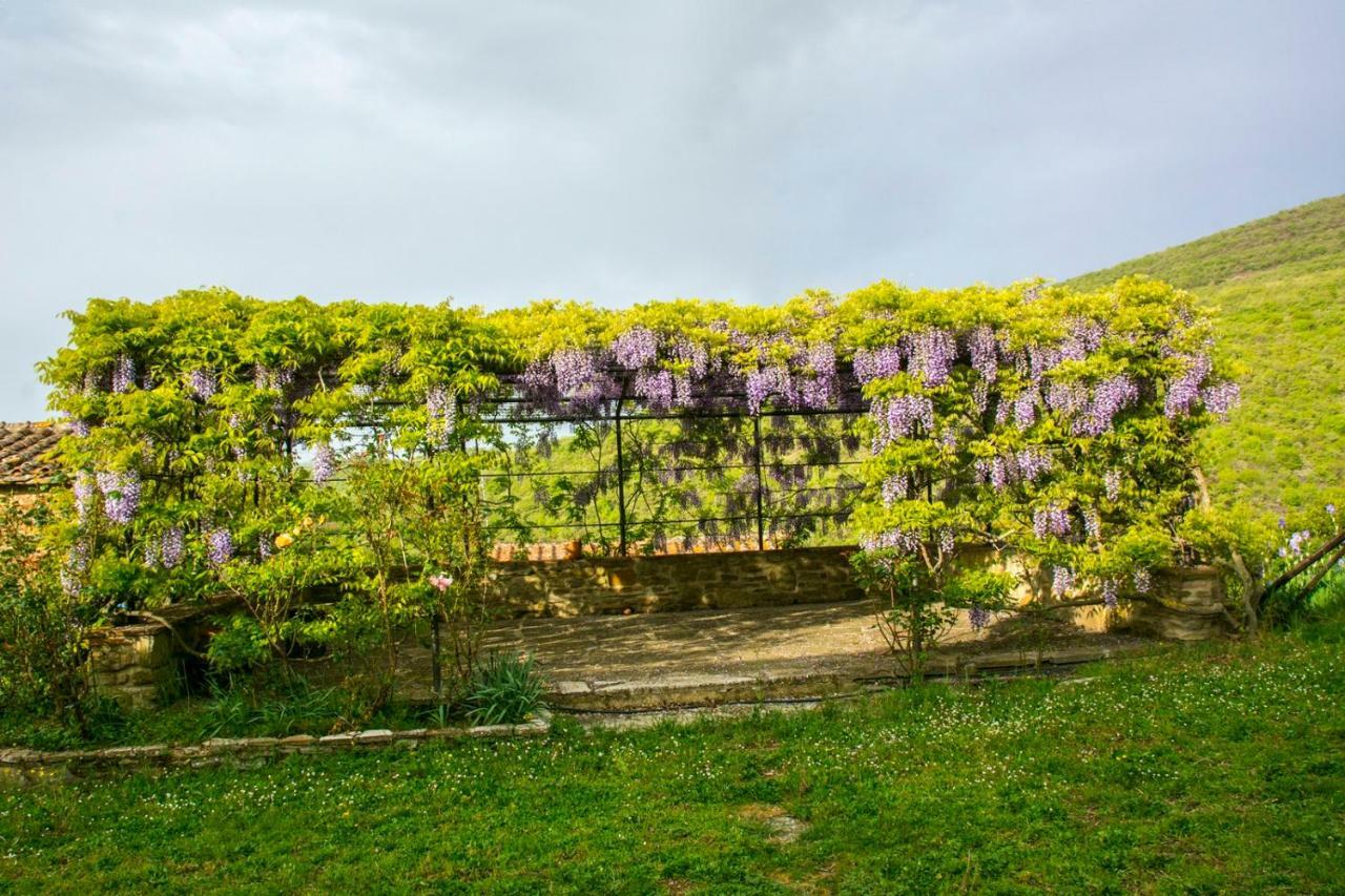 Borgo Solamore Hotell Cortona Eksteriør bilde